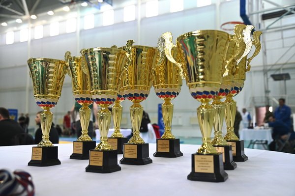 В Московской области завершился Чемпионат ФСИН России по самбо